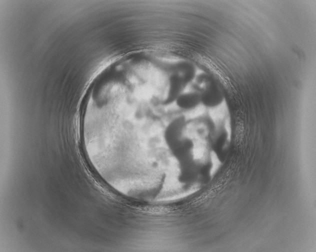 X0000115331079200912141214