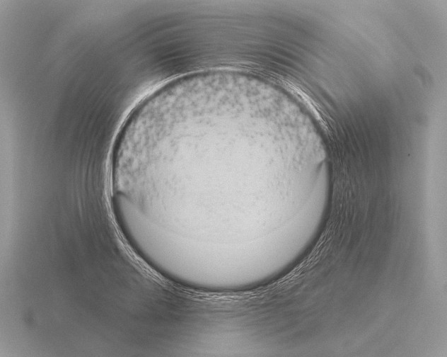 X0000115331080200912141214