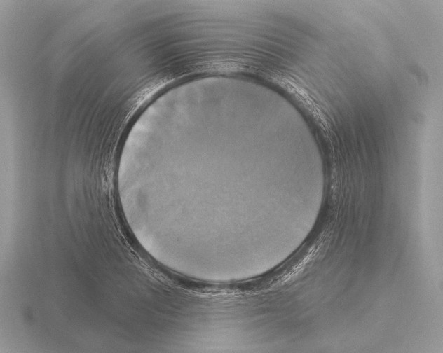 X0000115331081200912141214