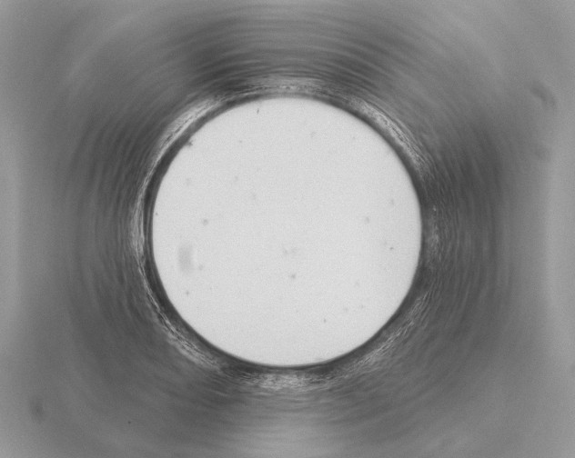 X0000115331082200912141214