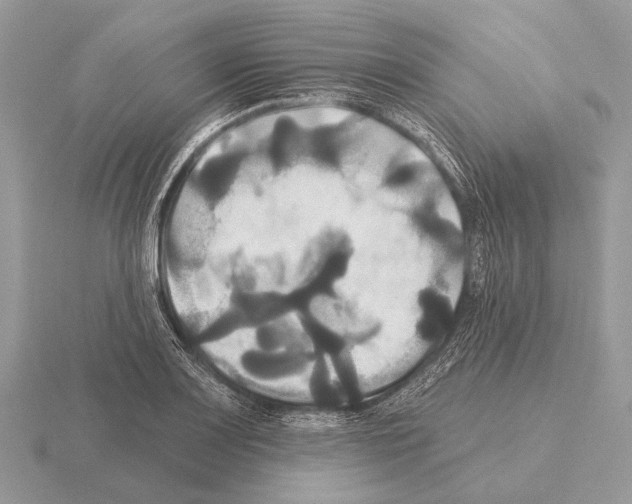 X0000115331083200912141214