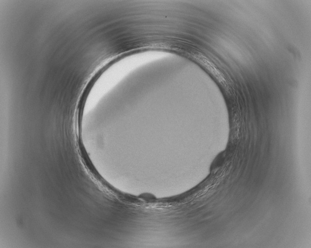 X0000115331084200912141214