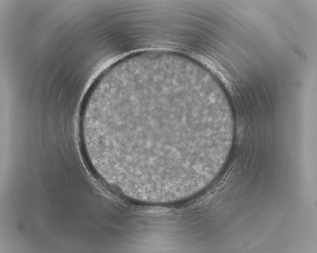 X0000115331085200912141214