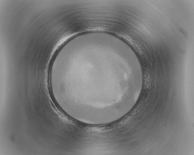 X0000115331086200912141214