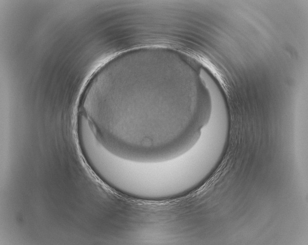 X0000115331088200912141214