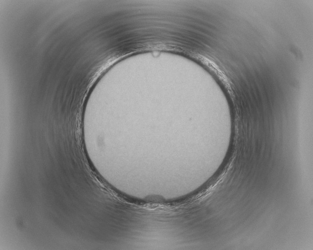 X0000115331089200912141214