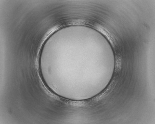 X0000115331090200912141214