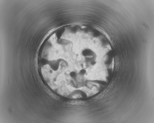 X0000115331091200912141214