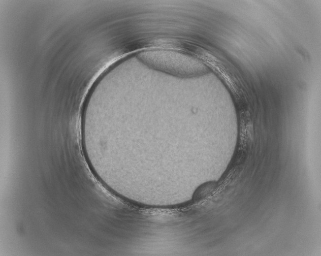 X0000115331092200912141214