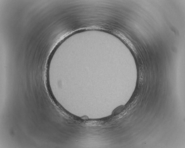 X0000115331093200912141214