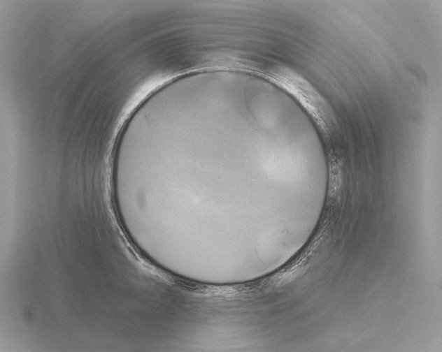 X0000115331094200912141214