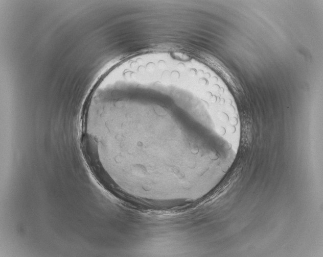 X0000115331095200912141214