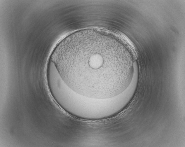 X0000115331096200912141214