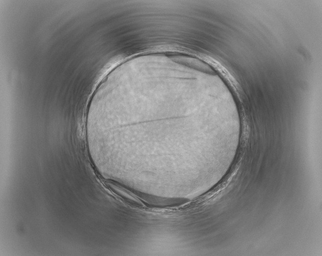 X0000115331097200912141214