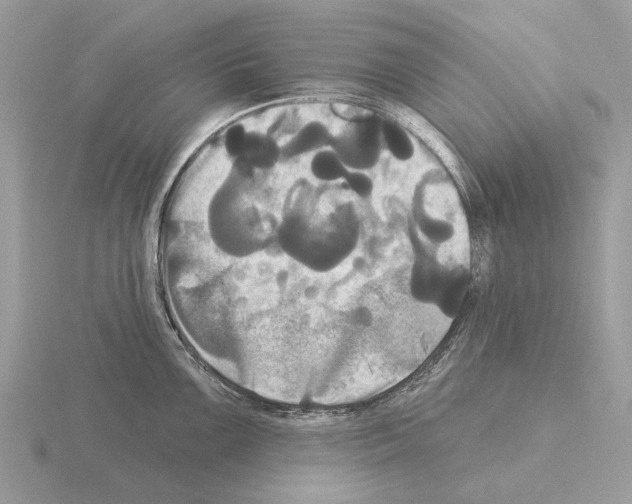 X0000115331099200912141214