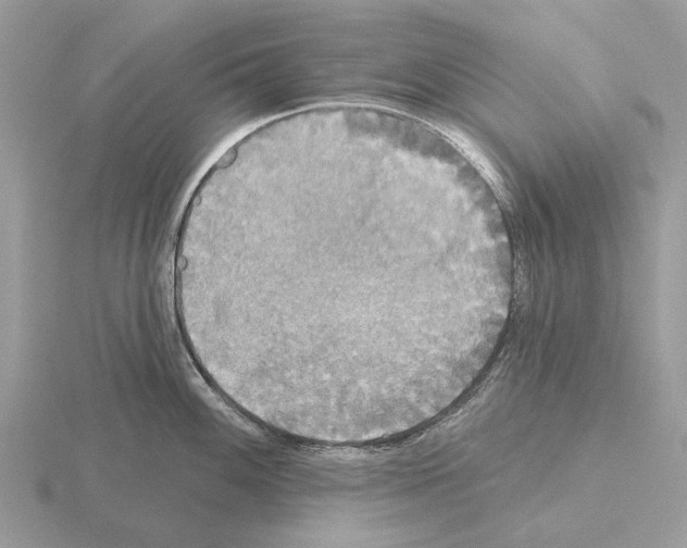 X0000115331100200912141214