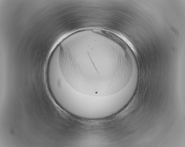 X0000115331101200912141214