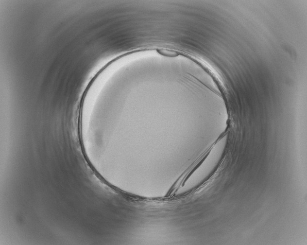 X0000115331102200912141214