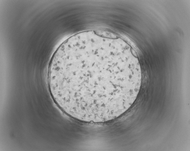 X0000115331103200912141214