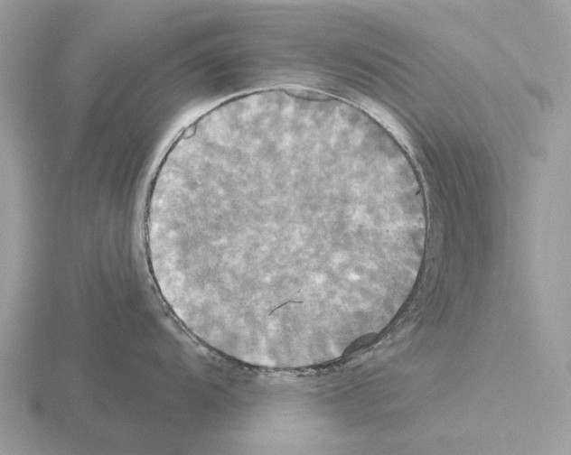 X0000115331104200912141214