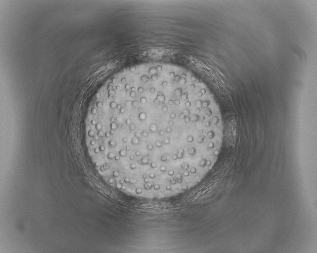 X0000115331105200912141213