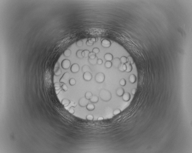 X0000115331106200912141213