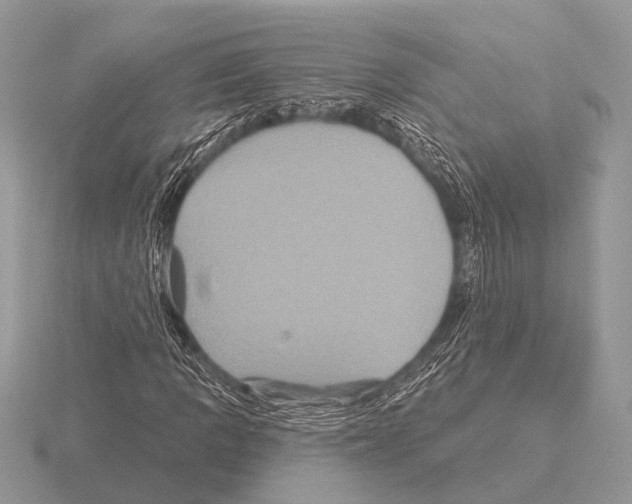 X0000115331109200912141213