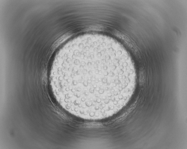 X0000115331113200912141213