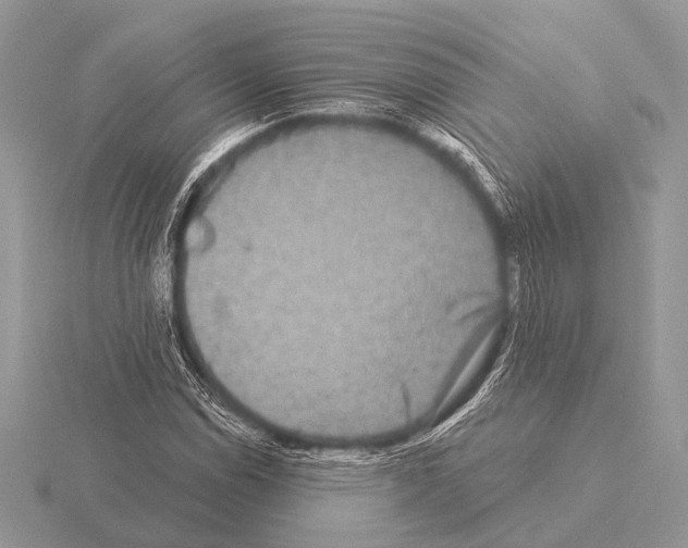 X0000115331114200912141213