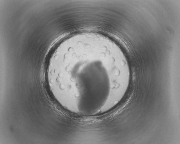 X0000115331117200912141213