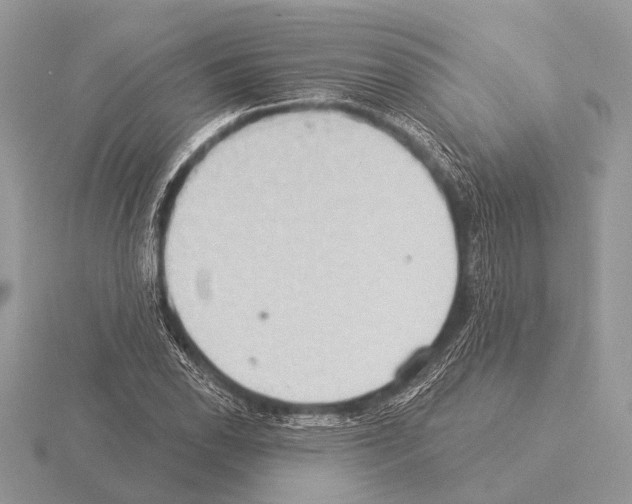 X0000115331118200912141213