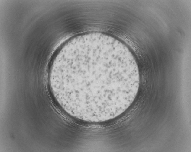 X0000115331119200912141213