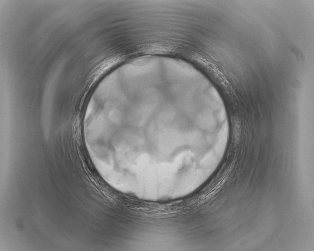 X0000115331121200912141213