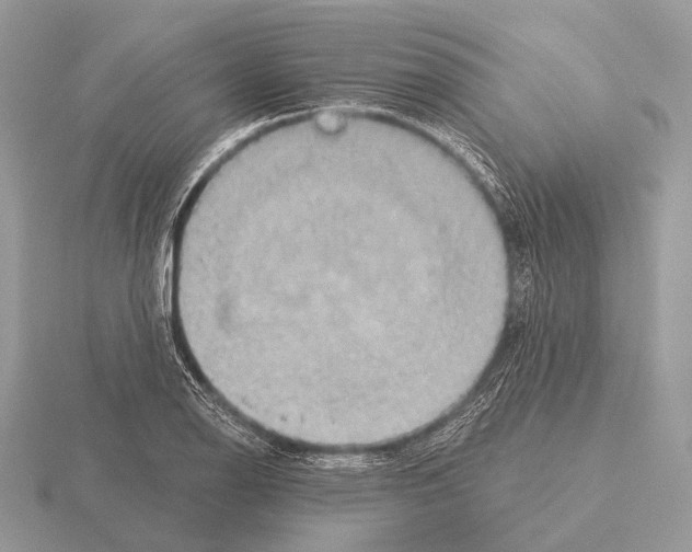 X0000115331126200912141213