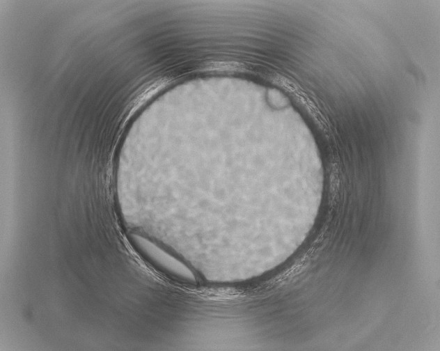 X0000115331129200912141214