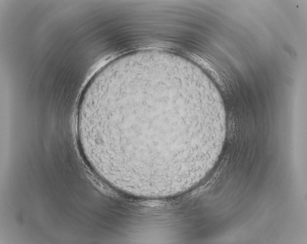 X0000115331130200912141214