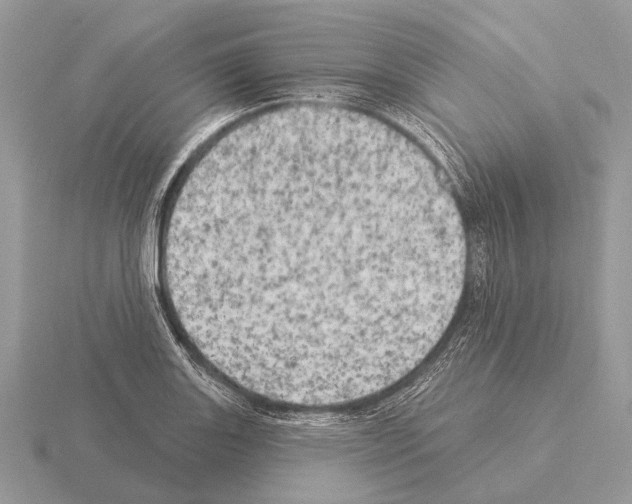 X0000115331131200912141214