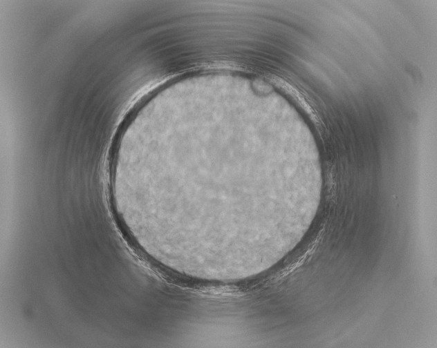 X0000115331133200912141214