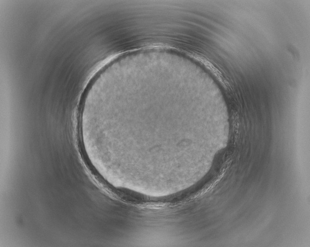 X0000115331134200912141214