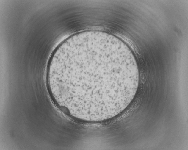 X0000115331135200912141214