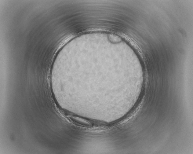 X0000115331137200912141214