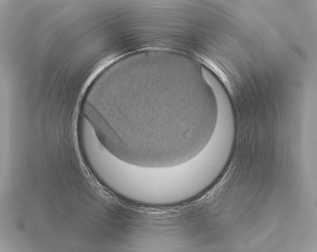 X0000115331138200912141214