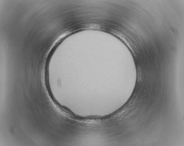 X0000115331139200912141214