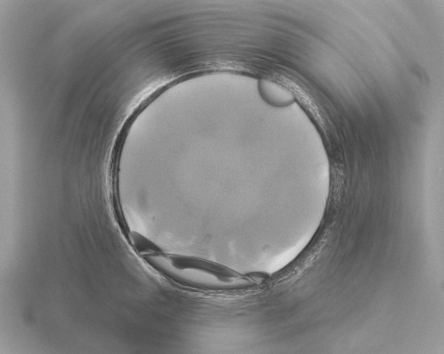 X0000115331141200912141214