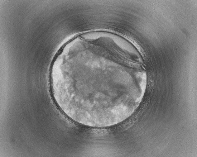 X0000115331142200912141214