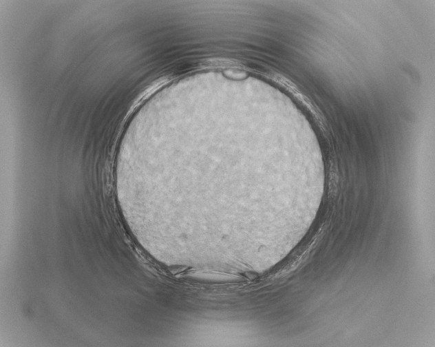 X0000115331145200912141214