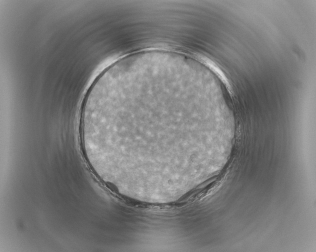 X0000115331146200912141214