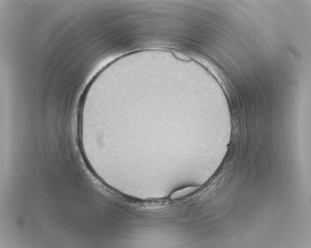 X0000115331147200912141214