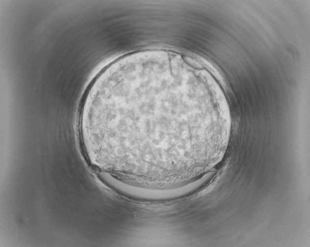 X0000115331149200912141214