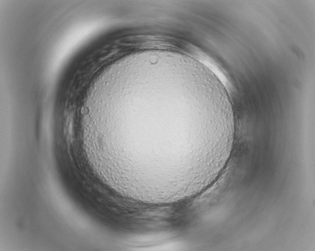 X0000115331150200912141214